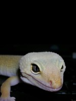 /album/fotogaleria/a207336730-jpg/